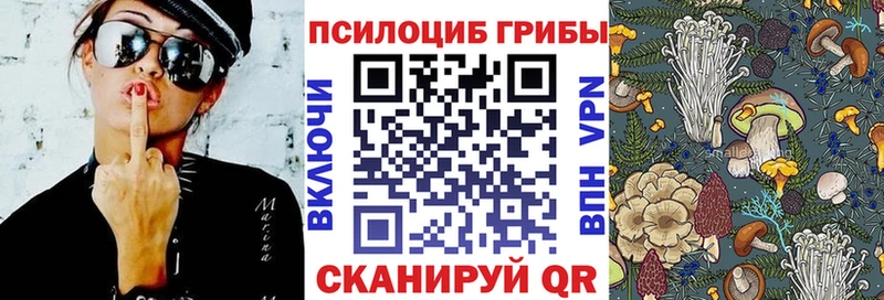 как найти закладки  Трёхгорный  Псилоцибиновые грибы Magic Shrooms 